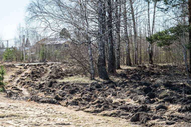 Патрулирование лесов Тюменской области начнется с 5 апреля