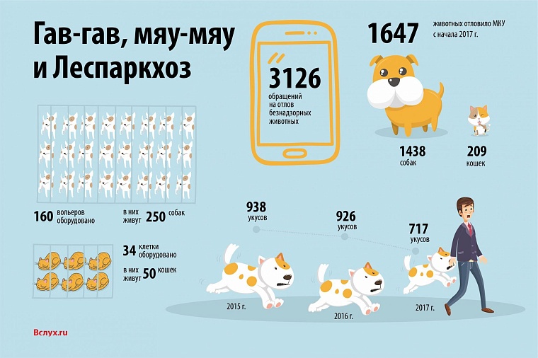 Гав-гав, мяу-мяу и Леспаркхоз