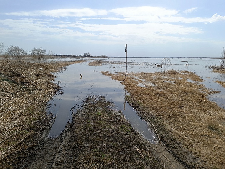 Как мы строили дамбу в Ишимском районе: испытано на себе