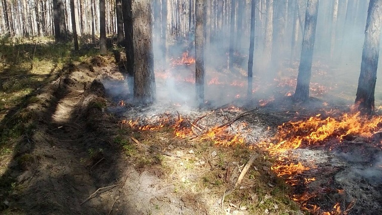 Попали в самое пекло: тюменские десантники-пожарные вернулись из Красноярского края