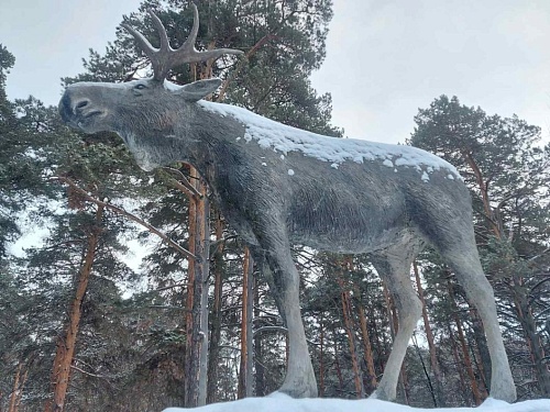 В Тюменской области ведется масштабная работа по лесовосстановлению