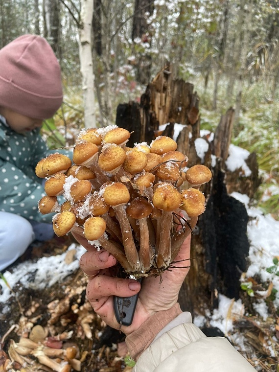 фото Евгении Рахматуллиной