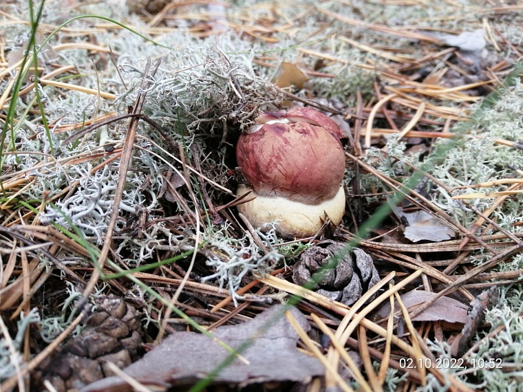 фото Сергея Копылова