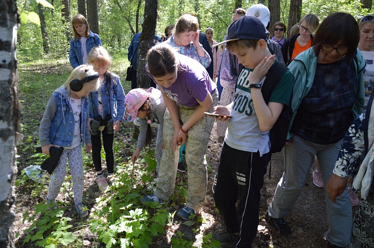 Тюменцы познакомились с флорой и фауной Гилевской рощи