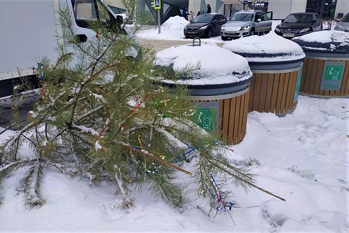 Елки тюменцев с контейнерных площадок заберет спецтранспорт