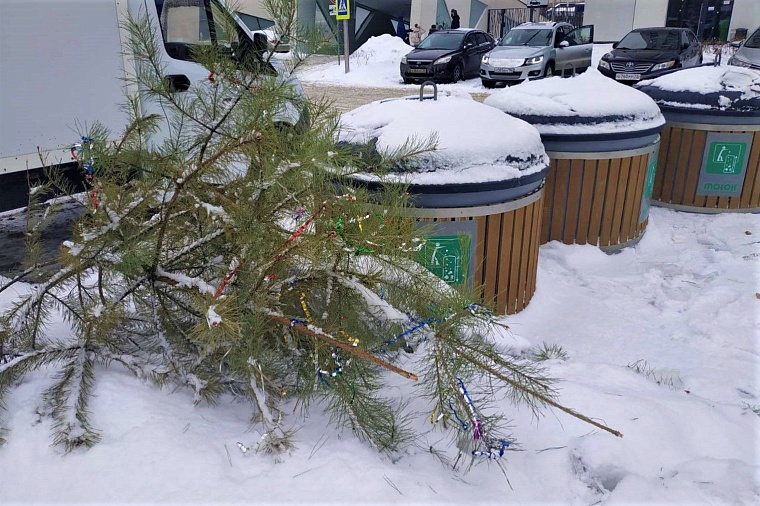 Елки тюменцев с контейнерных площадок заберет спецтранспорт