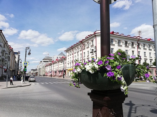 В Тюмени высадят почти 810 тысяч цветов