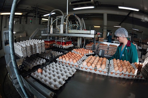 Боровская птицефабрика отмечает 60-летний юбилей