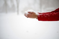 Народные приметы: снег или дождь приведет долгие оттепели