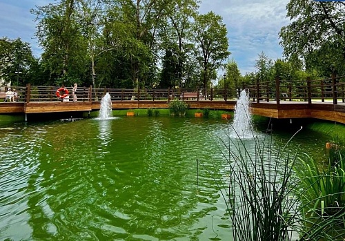 Более 2,5 тысяч тоболяков провели лето в Аптекарском саду