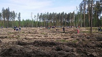 Безопасность граждан и природных территорий - приоритет в работе лесоохраны