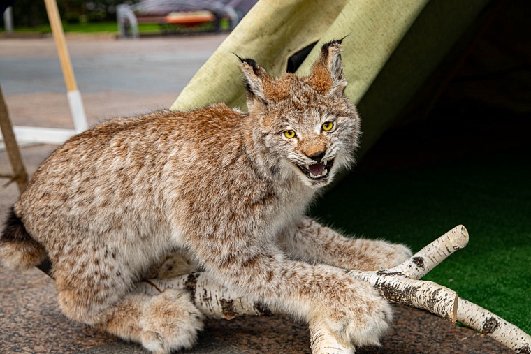 Уватский район приехал в Тюмень с чумом, нефтью и маскотами