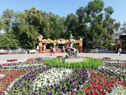 На пыльцу каких трав и деревьев проявляется аллергия в июне: комментарий аллерголога