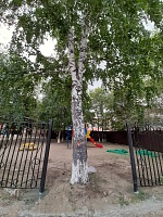 Тюменцы отстояли деревья на улице Мельничной