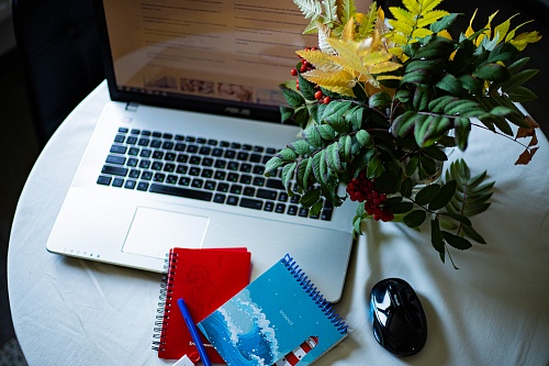 Пока вы спали: указ о цифровом паспорте, второй период активности клещей и полезная альтернатива шоколаду