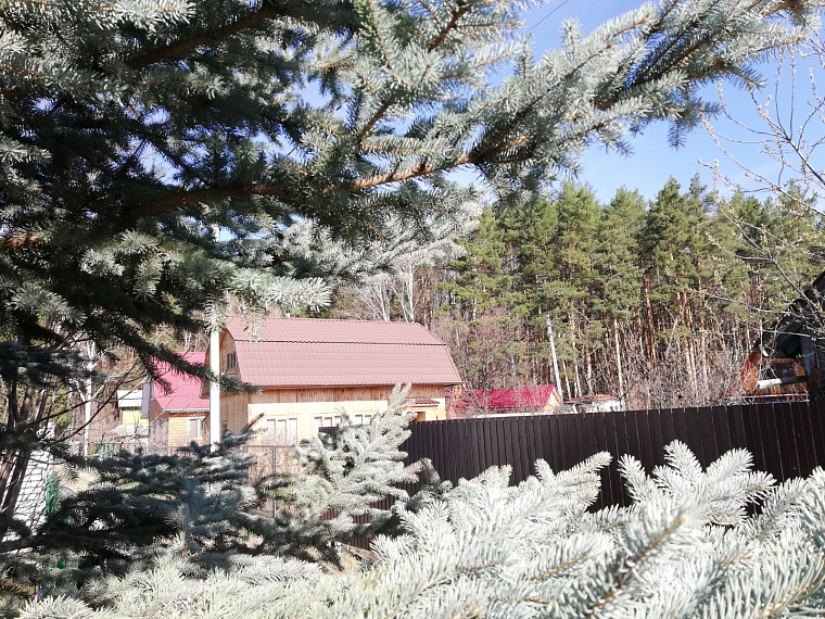 Что нужно сделать на даче в апреле: советы опытной тюменской огородницы