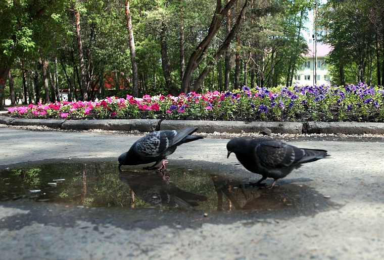 Тюменские парки и скверы благоустраивают разумно