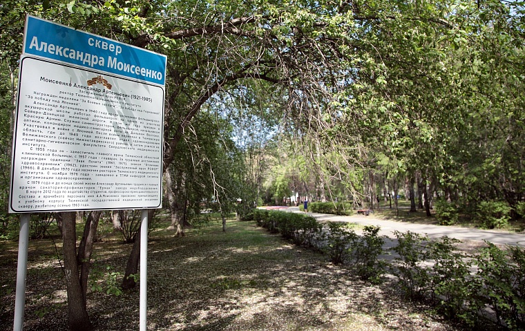 Тюменские парки и скверы благоустраивают разумно