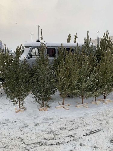 В Тюмени пресекают предновогоднюю стихийную торговлю