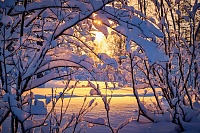 Навстречу солнцу в снежной шубе