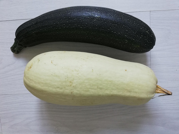 Каждый четвертый россиянин получает в подарок кабачки - опрос