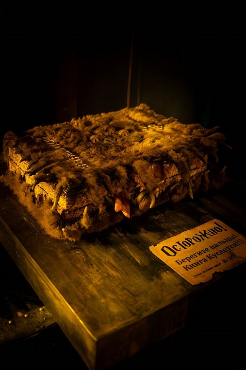 В Тюмени пройдет выставка «Вселенная Гарри Поттера»