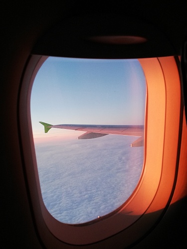 В Госдуме предложили запретить авиакомпаниям рассаживать людей старше 75 лет с сопровождающими