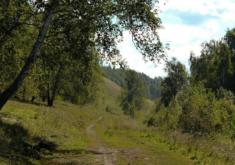 Уснул на скорости. Как я едва не погиб на трассе