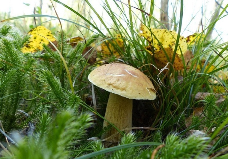 Уснул на скорости. Как я едва не погиб на трассе