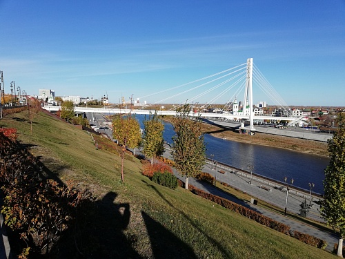 В Тюменской области прогнозируют туман и заморозки