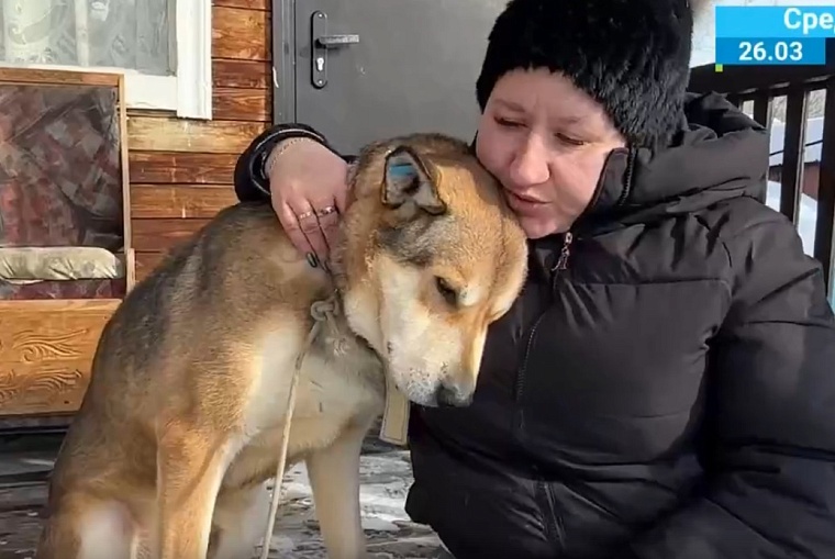 Потерянный Граф ждал хозяев в приюте