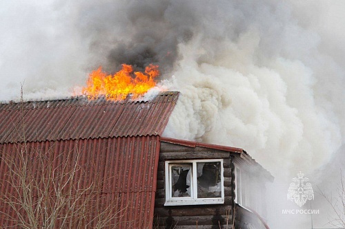 На тюменских дачах с начала года произошло 35 пожаров: причины, правила безопасности