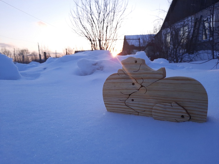 Тюменские студенты создают для детей гипоаллергенные игрушки из бука