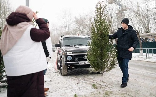 Тюменцы могут отдать елки животным из зоопарка
