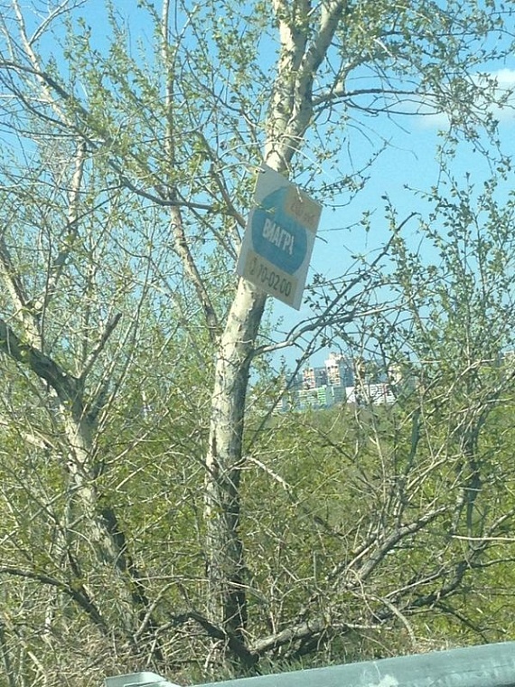 Особенности национальной рекламы: как шокировали тюменцев