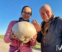 Увидели из машины: тюменская семья нашла гриб-дождевик размером с большой арбуз