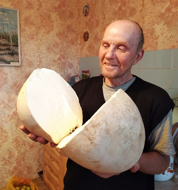 Увидели из машины: тюменская семья нашла гриб-дождевик размером с большой арбуз