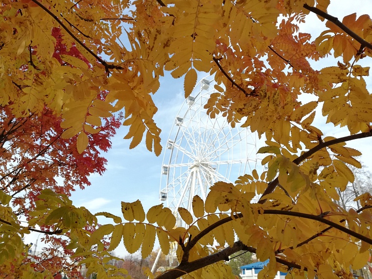 МЧС предупреждает тюменцев о сильном ветре с порывами до 17 м/с и потеплении
