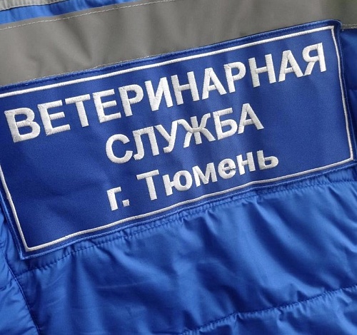 В Тюмени заработал новый филиал ветеринарной станции