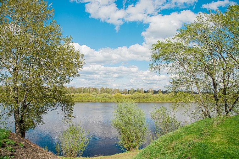 Перед началом сезона клещевых инфекций тюменцам напомнили о вакцинации