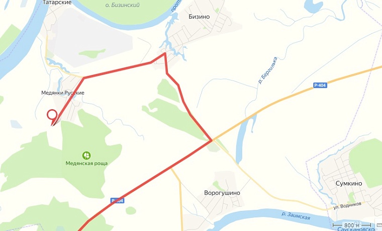 Орловские рысаки, горлицы, юрта. Чем удивляют гостей на тобольской ферме "Золотая подкова"