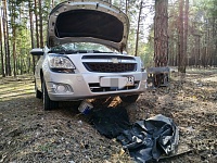 Тюменца оштрафовали за то, что он заехал в лес ремонтировать машину