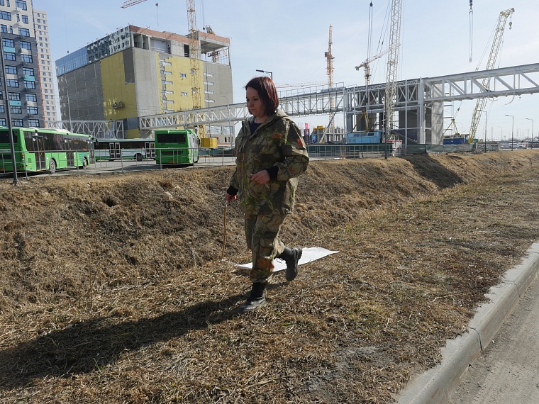 С начала сезона 196 человек покусали клещи в Тюменской области