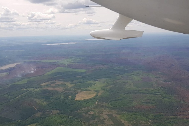 Дымку и запах гари в Тюмень могло принести со стороны Свердловской области