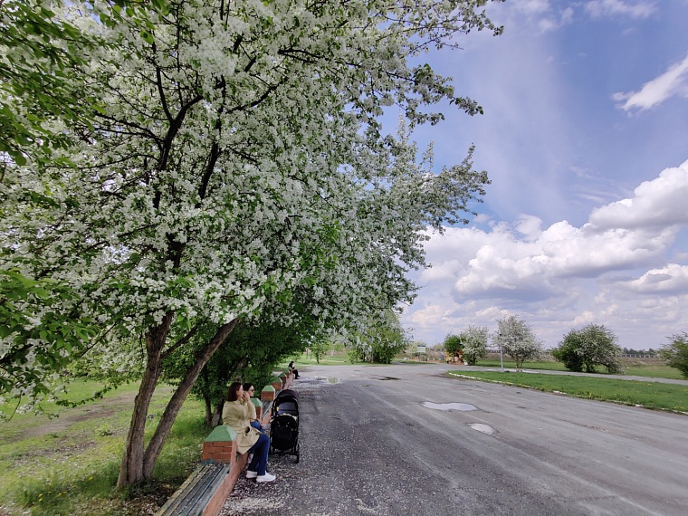 Утопая в ароматах весны. Прогуливаемся по сиренево-яблоневой Тюмени