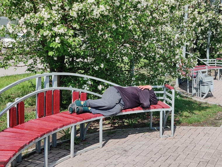 Утопая в ароматах весны. Прогуливаемся по сиренево-яблоневой Тюмени