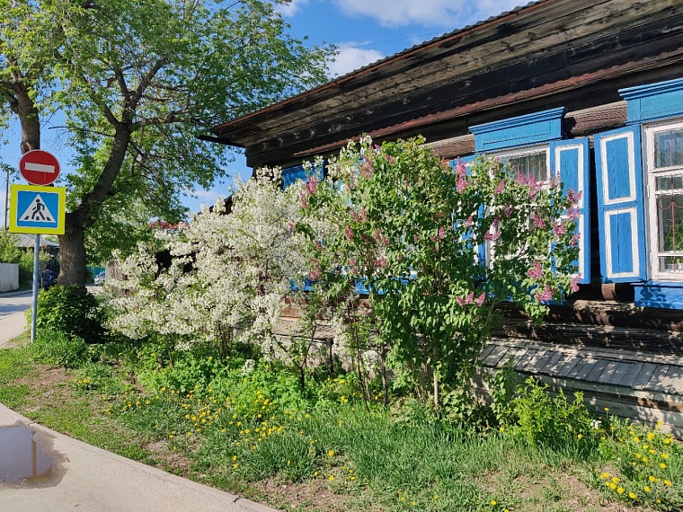Утопая в ароматах весны. Прогуливаемся по сиренево-яблоневой Тюмени