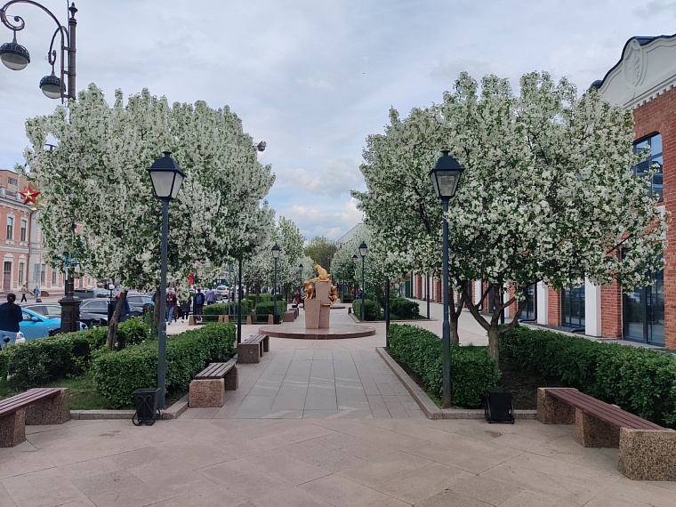 Утопая в ароматах весны. Прогуливаемся по сиренево-яблоневой Тюмени