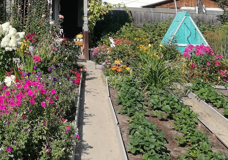 Какой уход нужен землянике весной: рекомендации опытной дачницы