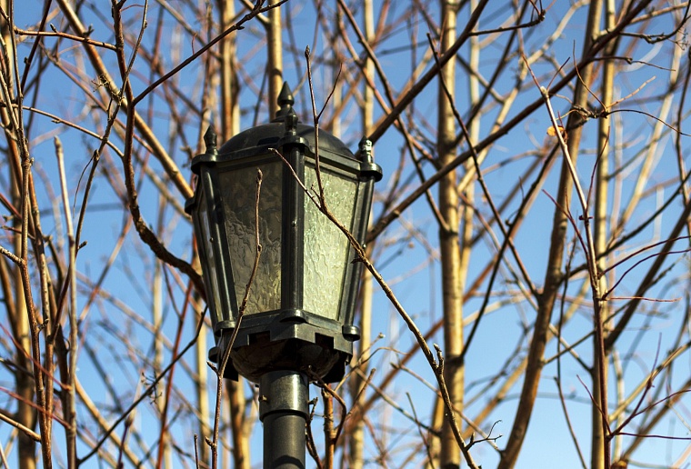 «Садится батарейка»? Шесть правил, как поддержать организм весной